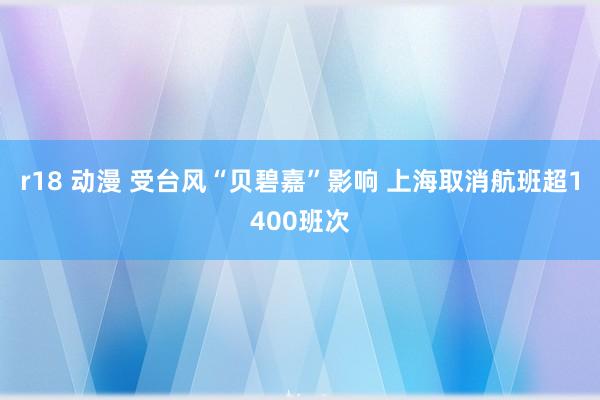 r18 动漫 受台风“贝碧嘉”影响 上海取消航班超1400班次