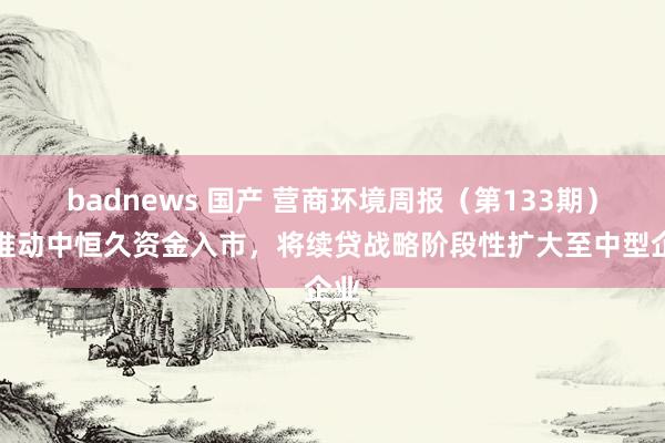 badnews 国产 营商环境周报（第133期）｜推动中恒久资金入市，将续贷战略阶段性扩大至中型企业