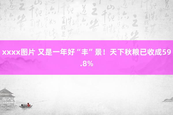 xxxx图片 又是一年好“丰”景！天下秋粮已收成59.8%