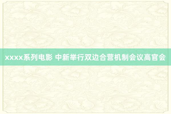 xxxx系列电影 中新举行双边合营机制会议高官会