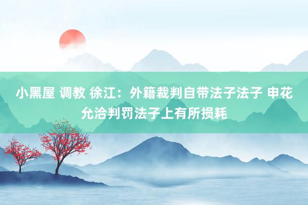 小黑屋 调教 徐江：外籍裁判自带法子法子 申花允洽判罚法子上有所损耗