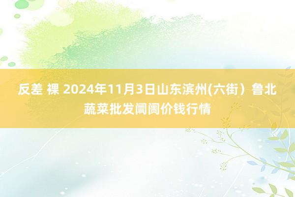 反差 裸 2024年11月3日山东滨州(六街)鲁北蔬菜批发阛阓价钱行情