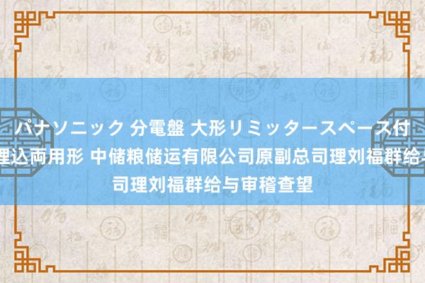 パナソニック 分電盤 大形リミッタースペース付 露出・半埋込両用形 中储粮储运有限公司原副总司理刘福群给与审稽查望