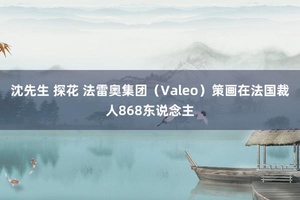 沈先生 探花 法雷奥集团（Valeo）策画在法国裁人868东说念主