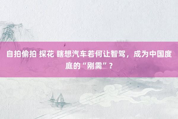 自拍偷拍 探花 瞎想汽车若何让智驾，成为中国度庭的“刚需”？