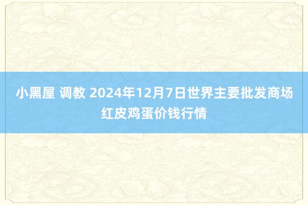 小黑屋 调教 2024年12月7日世界主要批发商场红皮鸡蛋价钱行情