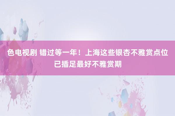 色电视剧 错过等一年！上海这些银杏不雅赏点位已插足最好不雅赏期
