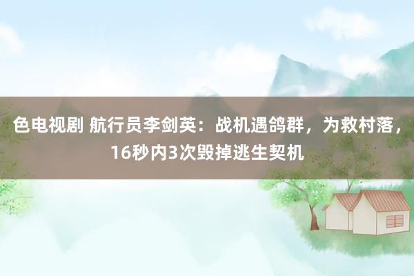 色电视剧 航行员李剑英：战机遇鸽群，为救村落，16秒内3次毁掉逃生契机
