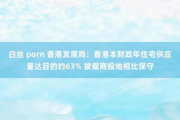 白丝 porn 香港发展局：香港本财政年住宅供应量达目的约63% 拔擢商投地相比保守