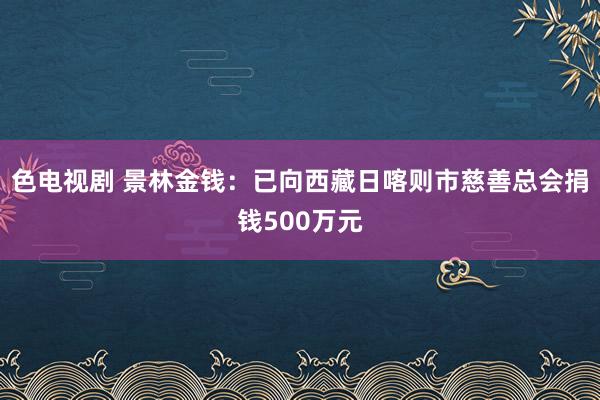 色电视剧 景林金钱:已向西藏日喀则市慈善总会捐钱500万元