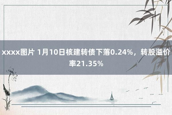 xxxx图片 1月10日核建转债下落0.24%，转股溢价率21.35%