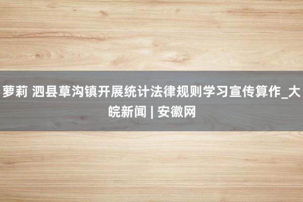 萝莉 泗县草沟镇开展统计法律规则学习宣传算作_大皖新闻 | 安徽网