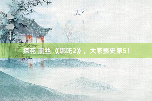 探花 黑丝 《哪吒2》，大家影史第5！