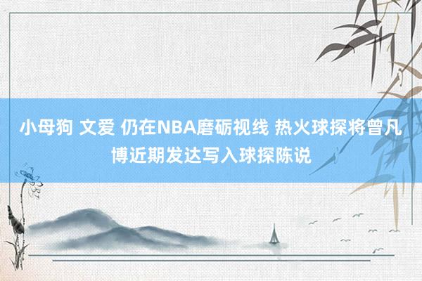 小母狗 文爱 仍在NBA磨砺视线 热火球探将曾凡博近期发达写入球探陈说