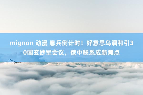 mignon 动漫 息兵倒计时！好意思乌调和引30国玄妙军会议，俄中联系成新焦点