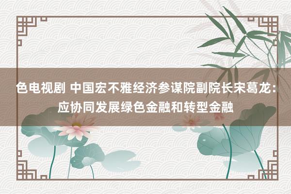 色电视剧 中国宏不雅经济参谋院副院长宋葛龙：应协同发展绿色金融和转型金融
