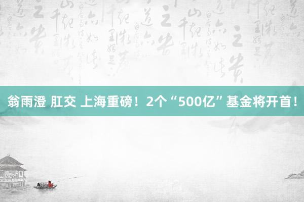翁雨澄 肛交 上海重磅！2个“500亿”基金将开首！
