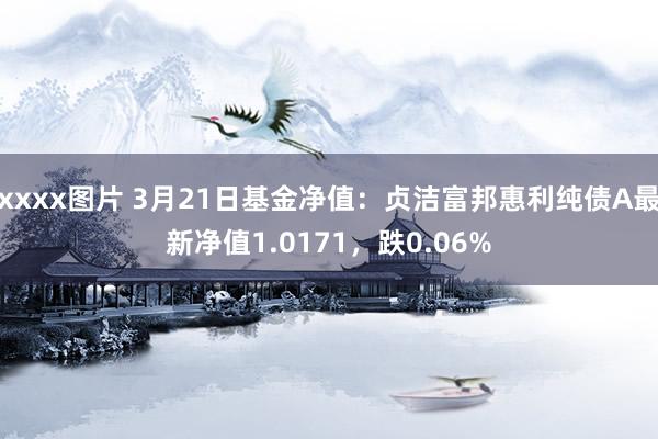 xxxx图片 3月21日基金净值：贞洁富邦惠利纯债A最新净值1.0171，跌0.06%