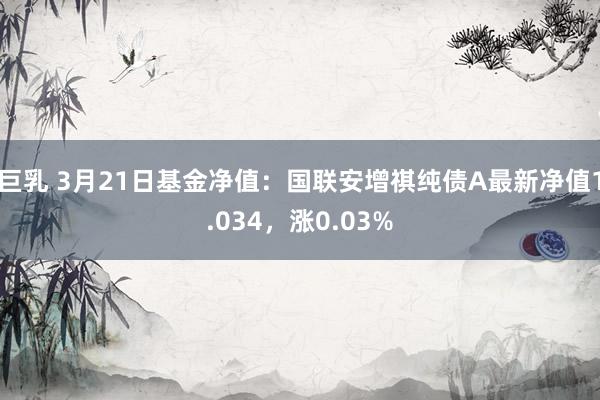 巨乳 3月21日基金净值：国联安增祺纯债A最新净值1.034，涨0.03%