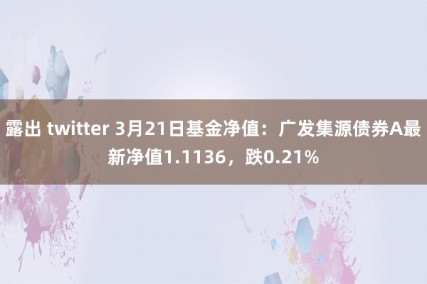 露出 twitter 3月21日基金净值：广发集源债券A最新净值1.1136，跌0.21%