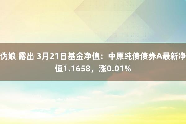 伪娘 露出 3月21日基金净值：中原纯债债券A最新净值1.1658，涨0.01%