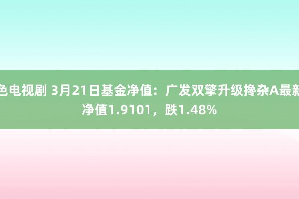 色电视剧 3月21日基金净值：广发双擎升级搀杂A最新净值1.9101，跌1.48%