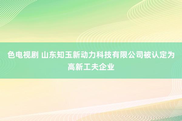 色电视剧 山东知玉新动力科技有限公司被认定为高新工夫企业