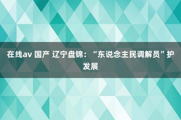 在线av 国产 辽宁盘锦：“东说念主民调解员”护发展