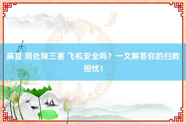 麻豆 周处除三害 飞机安全吗？一文解答你的扫数担忧！