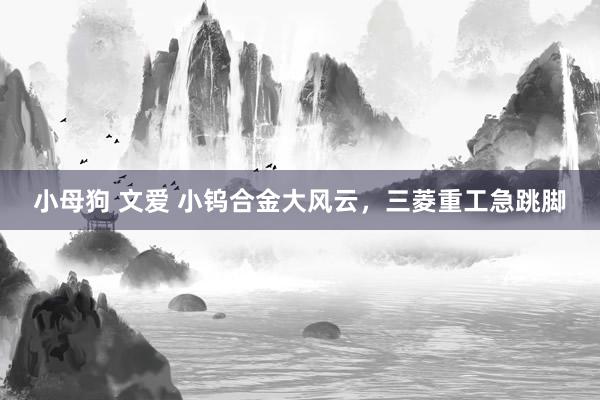 小母狗 文爱 小钨合金大风云，三菱重工急跳脚