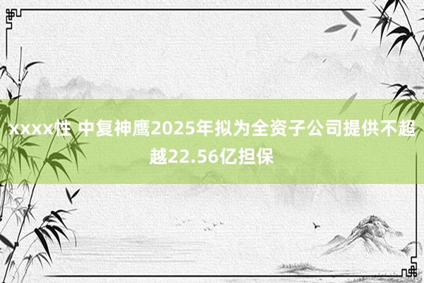 xxxx性 中复神鹰2025年拟为全资子公司提供不超越22.56亿担保