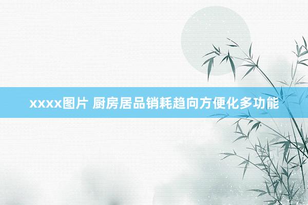 xxxx图片 厨房居品销耗趋向方便化多功能