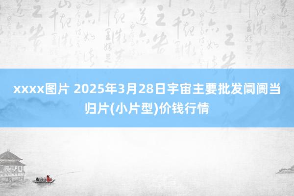 xxxx图片 2025年3月28日宇宙主要批发阛阓当归片(小片型)价钱行情