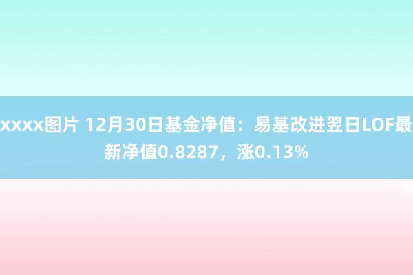 xxxx图片 12月30日基金净值：易基改进翌日LOF最新净值0.8287，涨0.13%