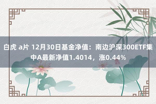 白虎 a片 12月30日基金净值：南边沪深300ETF集中A最新净值1.4014，涨0.44%
