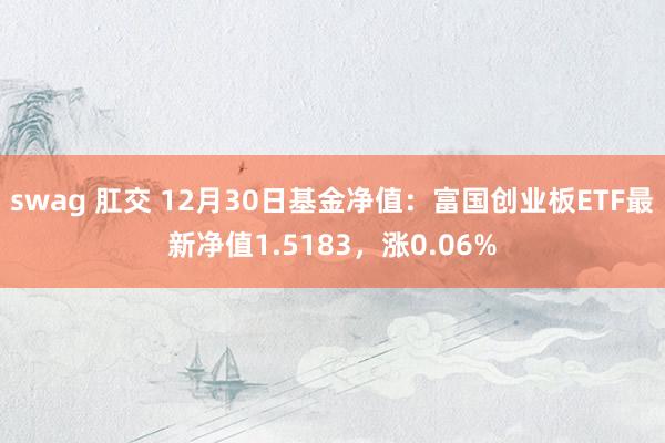 swag 肛交 12月30日基金净值：富国创业板ETF最新净值1.5183，涨0.06%