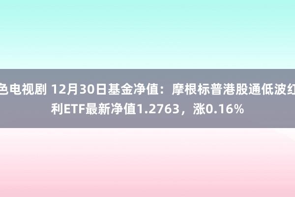 色电视剧 12月30日基金净值：摩根标普港股通低波红利ETF最新净值1.2763，涨0.16%