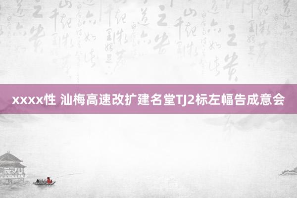 xxxx性 汕梅高速改扩建名堂TJ2标左幅告成意会