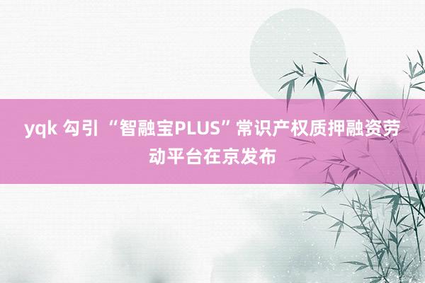 yqk 勾引 “智融宝PLUS”常识产权质押融资劳动平台在京发布