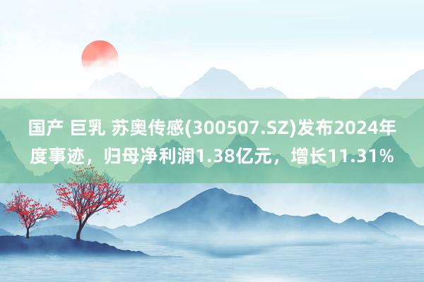 国产 巨乳 苏奥传感(300507.SZ)发布2024年度事迹，归母净利润1.38亿元，增长11.31%