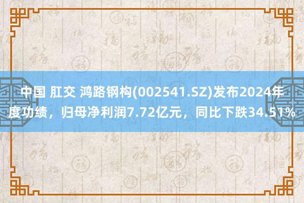 中国 肛交 鸿路钢构(002541.SZ)发布2024年度功绩，归母净利润7.72亿元，同比下跌34.51%