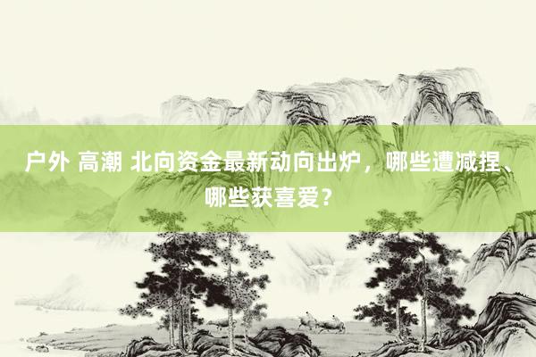 户外 高潮 北向资金最新动向出炉，哪些遭减捏、哪些获喜爱？