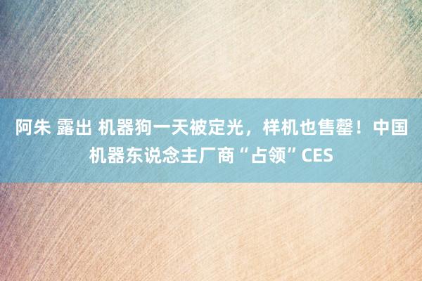 阿朱 露出 机器狗一天被定光，样机也售罄！中国机器东说念主厂商“占领”CES