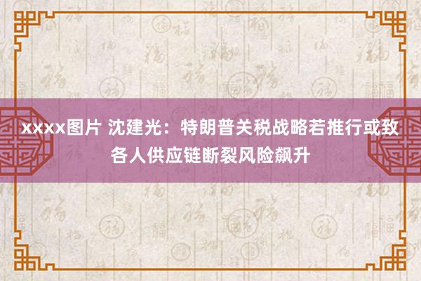 xxxx图片 沈建光:特朗普关税战略若推行或致各人供应链断裂风险飙升