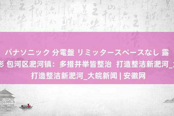 パナソニック 分電盤 リミッタースペースなし 露出・半埋込両用形 包河区淝河镇：多措并举皆整治  打造整洁新淝河_大皖新闻 | 安徽网