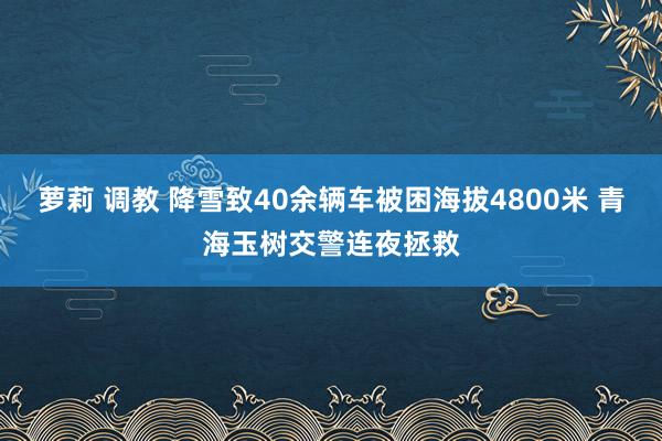 萝莉 调教 降雪致40余辆车被困海拔4800米 青海玉树交警连夜拯救